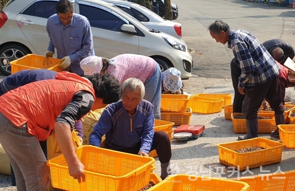 제공=통영시