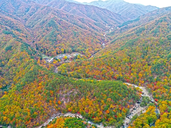 산청 대원사 계곡길