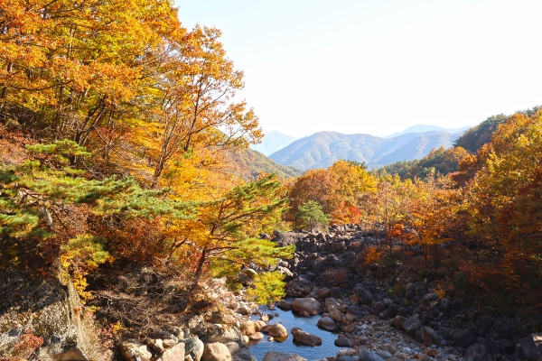 산청 두류생태탐방로